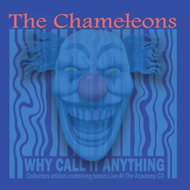 The Chameleons: Why Call It Anything - Music CD