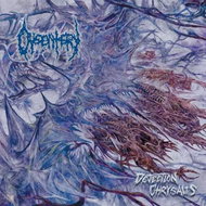 Dysentery: Dejection Chrysalis - Music CD