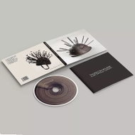 Thurston Moore: Flow Critical Lucidity - Music CD