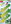 Natur Fresh 3 × 35 g