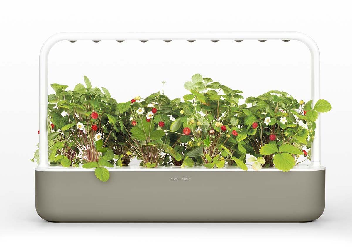 Click and Grow Smart Garden 9 b ov za 4 490 K Chytr kv tin