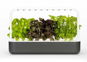 Smart Flower Pot Click and Grow Smart Garden 9 Grey - Chytrý květináč