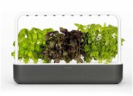 Click and Grow Smart Garden 9 sivý - Inteligentný kvetináč
