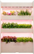 Click And Grow WALL FARM INDOOR VERTICAL GARDEN - Smart Flower Pot