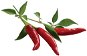 Ültetvény Click And Grow Chili paprika - Sazenice