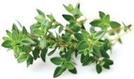 Click And Grow Thyme Refill - Seedling Planter