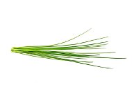 Seedling Planter Click and Grow Chives - Sazenice