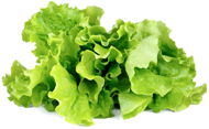 Click and Grow Lettuce Salad - Seedling Planter