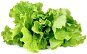 Seedling Planter Click and Grow Lettuce Salad - Sazenice