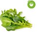 Click and Grow Mix Salat - Setzling