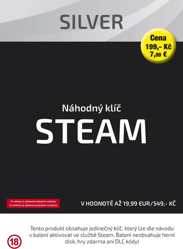 Silver key (Steam) - Gaming Accessory - Main image