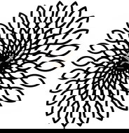 Karlsson 5492 - Hodiny