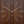 FT1010WE Square Dark Natural Brown