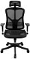 DALENOR Tech Smart, ergonomická, sieťovina, čierna - Kancelárska stolička