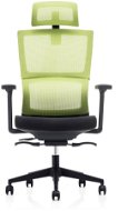 DALENOR Grove, ergonomická, síťovina, černá / zelená - Irodai szék