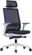 DALENOR Meteor X, ergonomická, síťovina, černá - Kancelářská židle