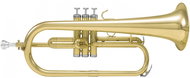 Dimavery FH-310P - Flugelhorn