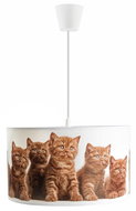 Chandelier on a wire KITTY 1xE27/60W/230V - Chandelier