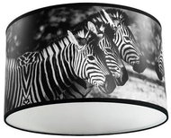 Ceiling Light ZEBRAS 1xE27/60W/230V - Ceiling Light
