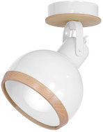 Spotlight OVAL 1xE27/60W/230V - Spot Lighting