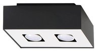 Ceiling Light MONO 2 2xGU10/40W/230V - Ceiling Light