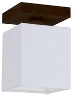 Ceiling Light INGER 1xE27/25W/230V - Ceiling Light