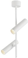 LED Spotlight TUBA 2xLED/10W/230V White - Spot Lighting