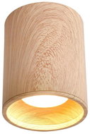 Ceiling Light TUBA GU10/15W/230V - Ceiling Light