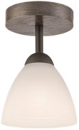 Chandelier Suspended chandelier ADRIANO 1xE27/60W/230V - Lustr