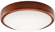 LED Ceiling Light 1xLED/12W/230V - Ceiling Light