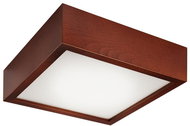 Ceiling Light 1xE27/60W/230V - Ceiling Light