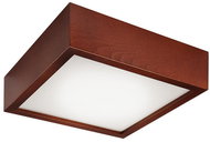 Ceiling Light 2xE27/60W/230V - Ceiling Light