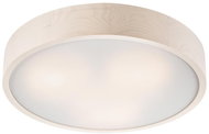 Ceiling Light 3xE27/60W/230V - Ceiling Light