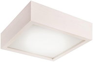 Ceiling Light 1xE27/60W/230V - Ceiling Light