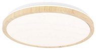 LED Ceiling Light GANDAVA LED/24W/230V - Ceiling Light