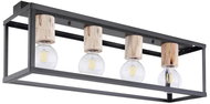 Globo - Ceiling Light 4xE27/60W/230V - Ceiling Light