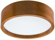 LED Ceiling Light LED/35W/230V - Ceiling Light