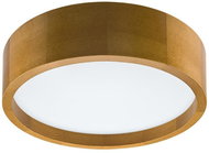 LED Ceiling Light LED/35W/230V - Ceiling Light