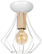 Ceiling Light WILL 1xE27/60W/230V - Ceiling Light