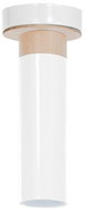 Ceiling Light PEDRO 1xGU10/25W/230V - Ceiling Light