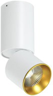 LED Ceiling Spotlight LED/10W/230V - Ceiling Light