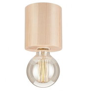 Ceiling Light 1xE27/60W/230V - Ceiling Light