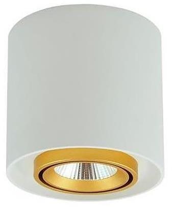 Ceiling Spotlight EGER 1xGU10/10W/230W - Ceiling Light - Main image