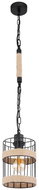 Globo - Chandelier on chain 1xE27/60W/230V - Chandelier