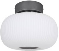 Globo - LED Ceiling Light LED/12W/230V - Ceiling Light