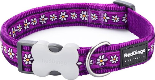 Red Dingo Daisy Chain Purple 15 mm x 24-36 cm - Dog Collar - Main image