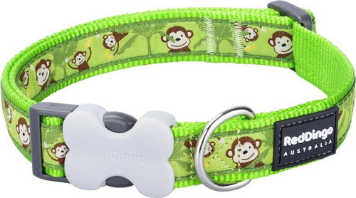 Red Dingo Monkey Lime Green 15 mm x 24-36 cm - Dog Collar - Main image