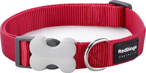 Red Dingo Red 20 mm x 30-47 cm - Dog Collar - Main image