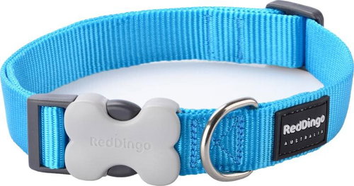 Red Dingo Turquoise 25 mm x 41-63 cm - Dog Collar - Main image