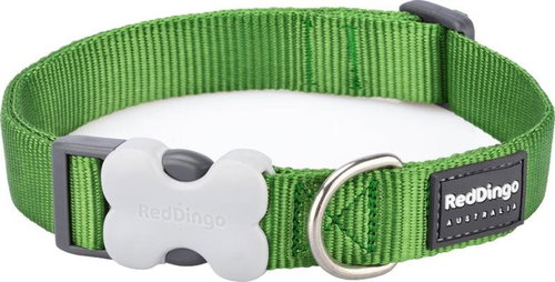 Red Dingo Green 25 mm x 41-63 cm - Dog Collar - Main image